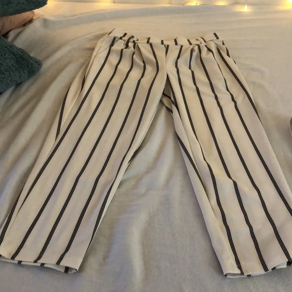 Simply Styled Striped Pants with Belt - Picture 2 of 3